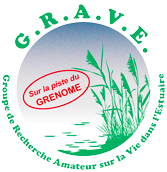 logo-grenome-grave-c
